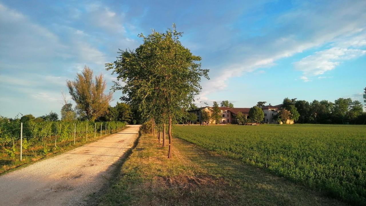 Agriturismo Alle Albare Montorio Veronese エクステリア 写真