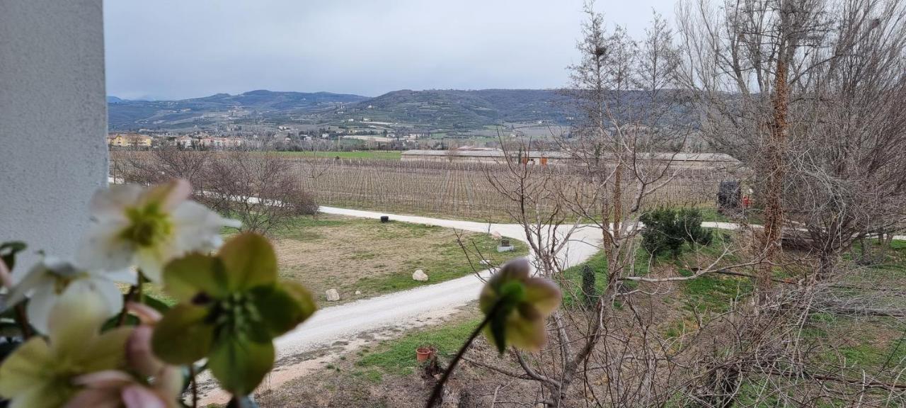 Agriturismo Alle Albare Montorio Veronese エクステリア 写真
