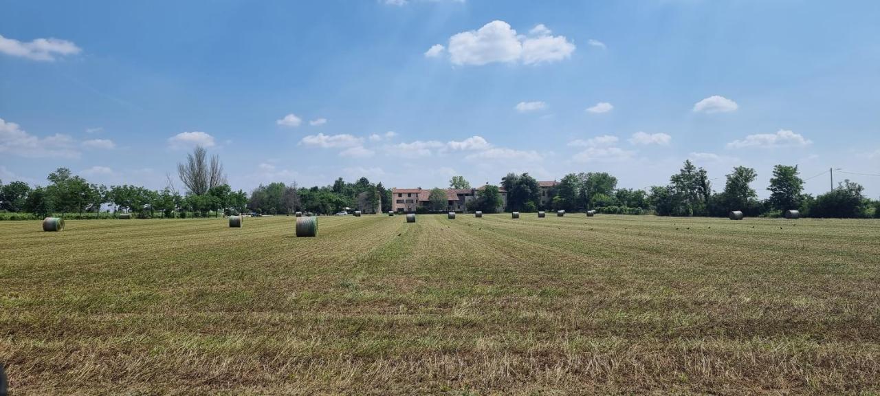 Agriturismo Alle Albare Montorio Veronese エクステリア 写真