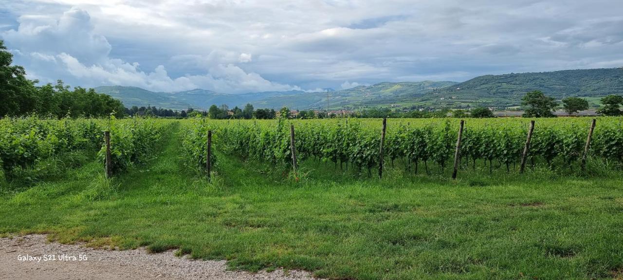 Agriturismo Alle Albare Montorio Veronese エクステリア 写真